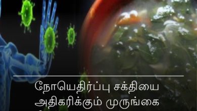 முருங்கை கீரை சூப்