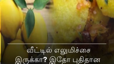 எலுமிச்சை இட்லி