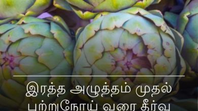 கூனைப்பூ