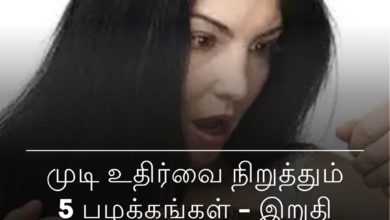 முடி உதிர்வை நிறுத்தும்