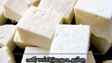 பனீர் சாப்பிடுவது