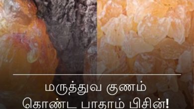 மருத்துவ குணங்கள்