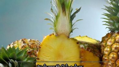 ஊட்டச்சத்து