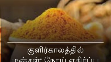 நோய் எதிர்ப்பு சக்தி