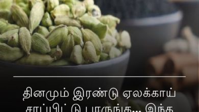 தினமும் இரண்டு ஏலக்காய்