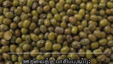 ஊறவைத்த பாசிப்பருப்பு