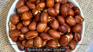 வேர்க்கடலை