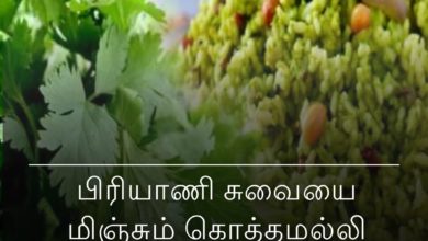 பட்டாணி சாதம்