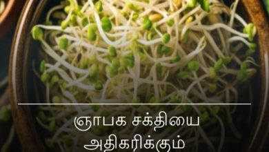 முளைப்பயிர் குழம்பு