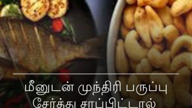 மீனுடன் முந்திரி பருப்பு