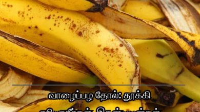 வாழைப்பழ தோல்