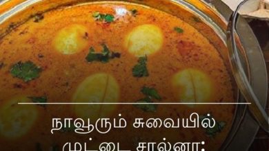 முட்டை சால்னா