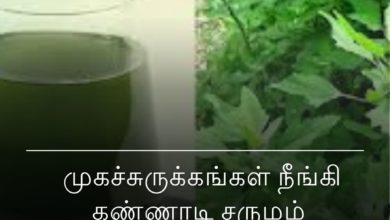 கண்ணாடி சருமம்