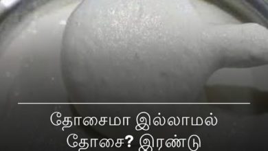 தோசைமா இல்லாமல் தோசை