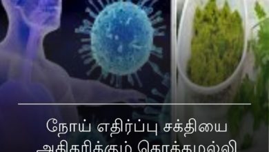 கொத்தமல்லி துவையல்