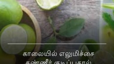எலுமிச்சை தண்ணீர்