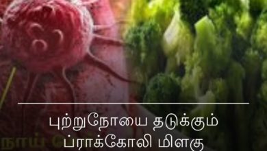 ப்ராக்கோலி மிளகு வறுவல்
