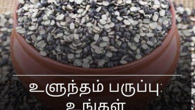 உளுந்தம் பருப்பு: