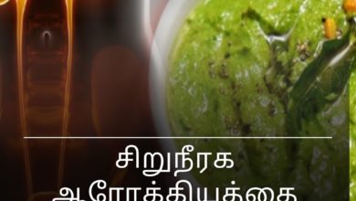 அற்புத பச்சை சட்னி!