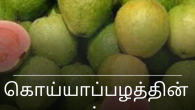 கொய்யாப்பழத்தின்