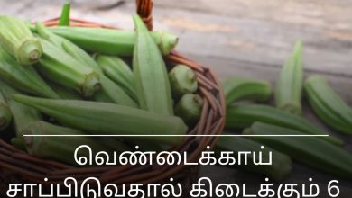 வெண்டைக்காய்