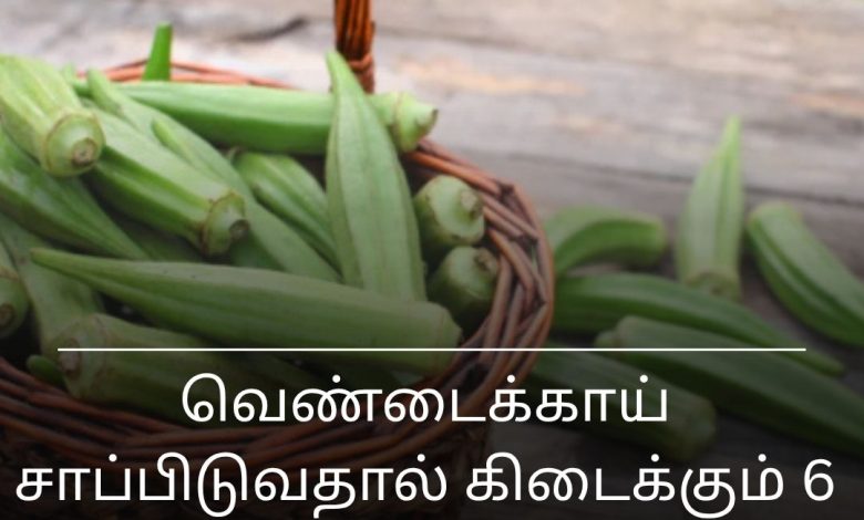 வெண்டைக்காய்