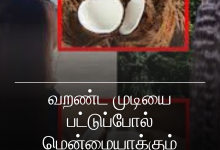 தேங்காய் பால்