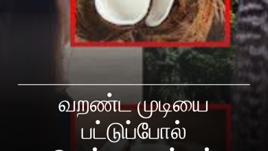 தேங்காய் பால்