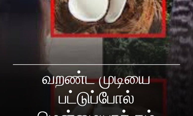 தேங்காய் பால்