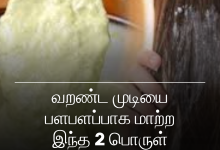 வறண்ட முடியை