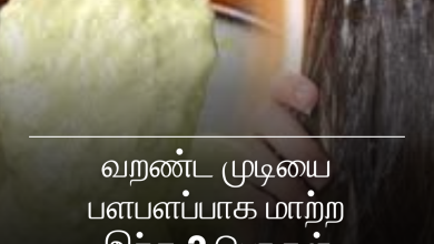 வறண்ட முடியை