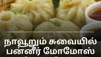 பன்னீர் மோமோஸ்