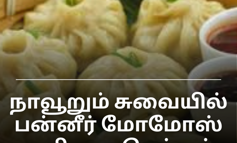 பன்னீர் மோமோஸ்