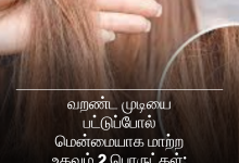 வறண்ட முடி