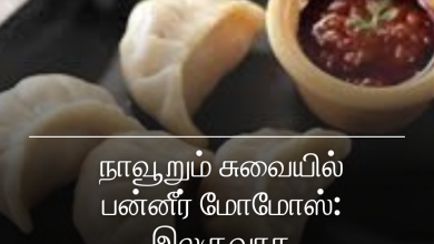 பன்னீர் மோமோஸ்
