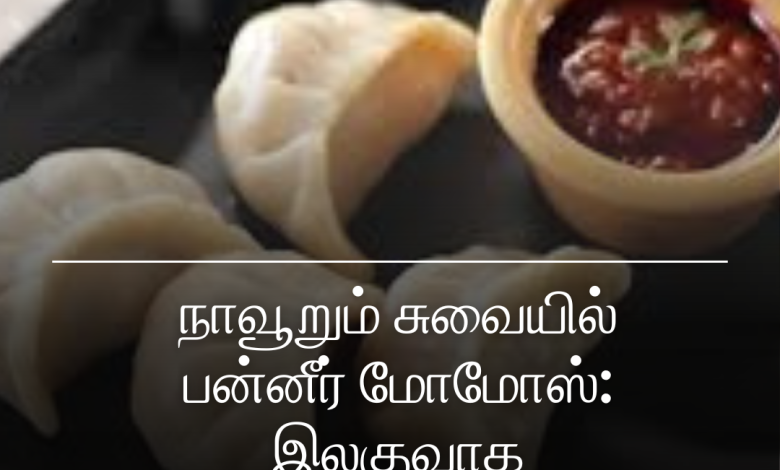 பன்னீர் மோமோஸ்