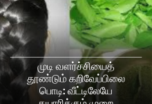 கறிவேப்பிலை