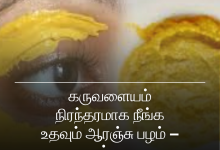 ஆரஞ்சு பழம்