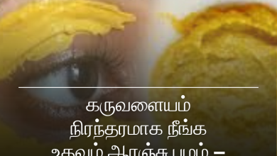 ஆரஞ்சு பழம்