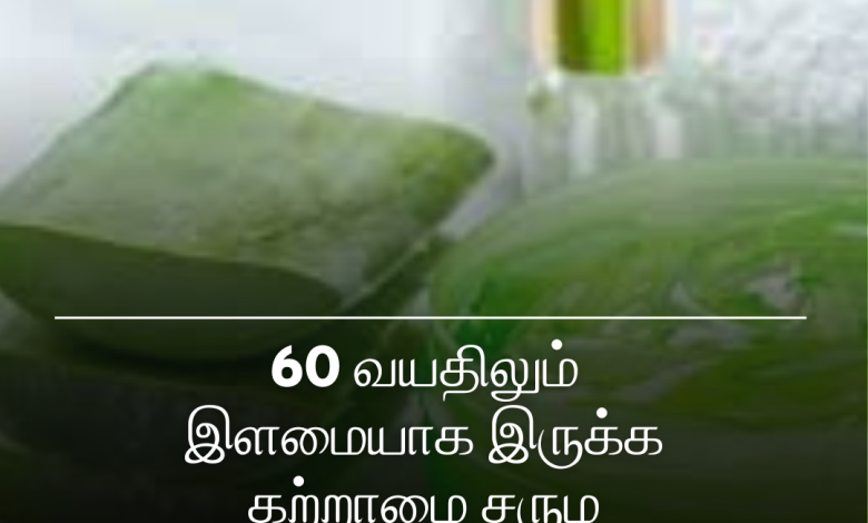 கற்றாழை சரும பராமரிப்பு